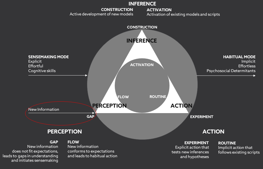 a chart on sensemaking, perception, action and inference